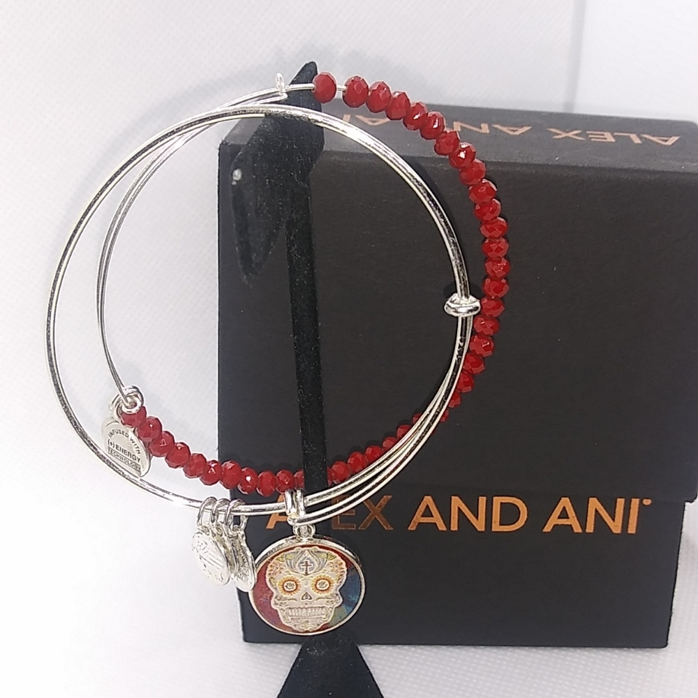 Alex and Ani Art Infusion Calavera Set